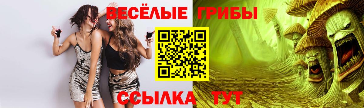 Губаха  Галлюциногенные грибы MAGIC MUSHROOMS  Вход с VPN 